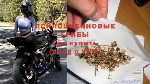 эйфоретик Армянск