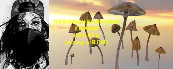 экстази Арсеньев