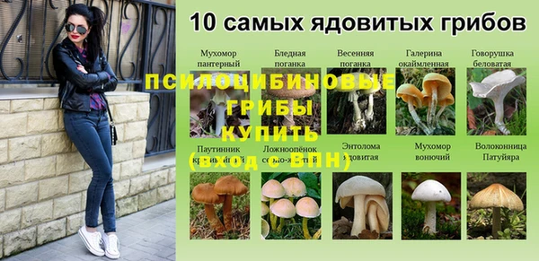эйфоретик Армянск