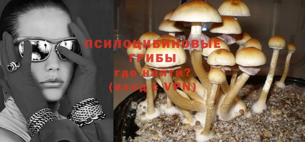 спайс Аркадак