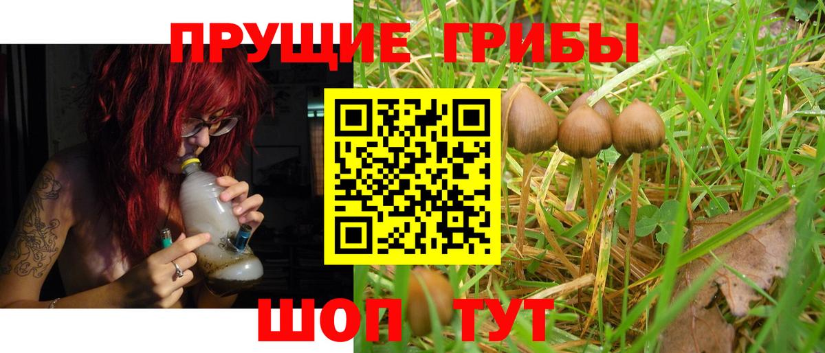 Галлюциногенные грибы Cubensis Елабуга